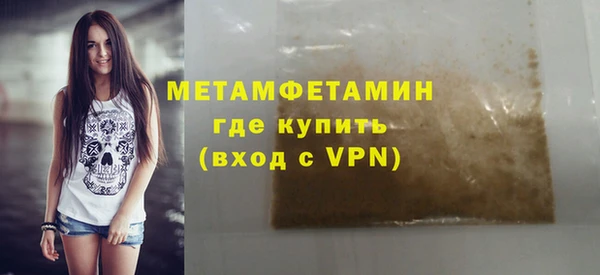 прущие грибы Гусев
