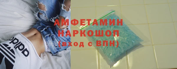 прущие грибы Гусев