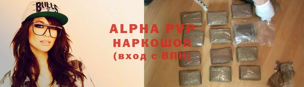 прущие грибы Гусев