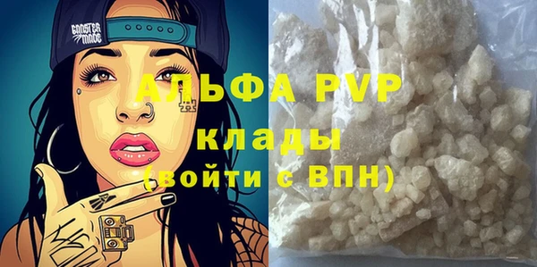прущие грибы Гусев