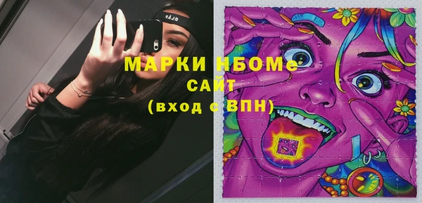 прущие грибы Гусев
