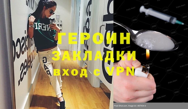 прущие грибы Гусев