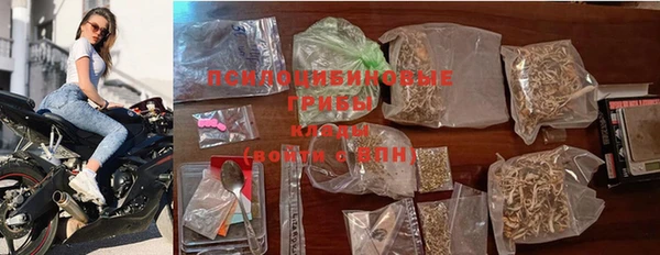 прущие грибы Гусев