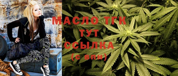 прущие грибы Гусев