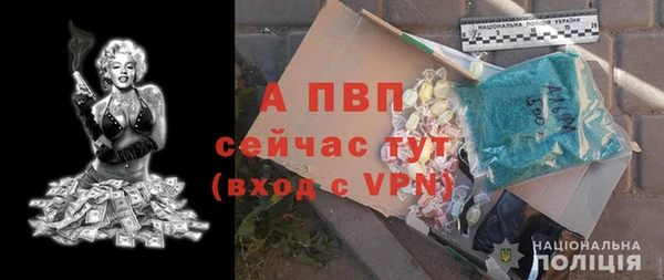 прущие грибы Гусев
