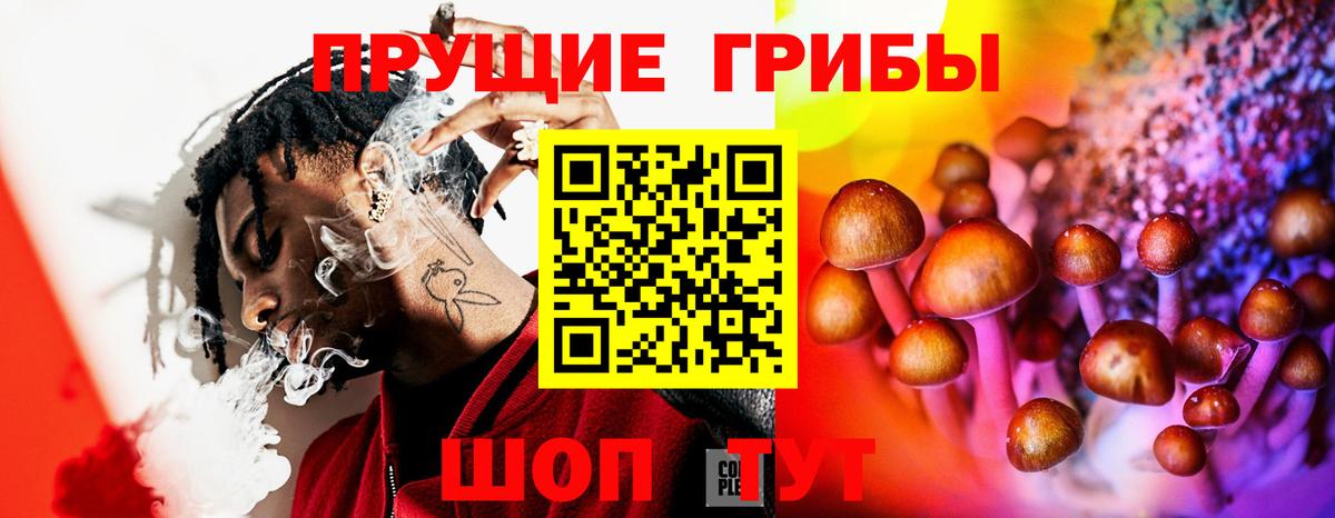 Галлюциногенные грибы прущие грибы  Псилоцибиновые грибы мухоморы  Вход с VPN  Медногорск 