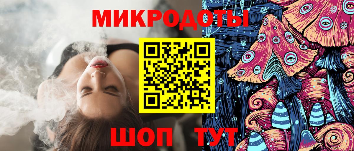 Галлюциногенные грибы Psilocybe Медногорск